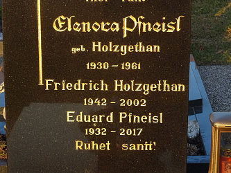 Friedhof Punitz