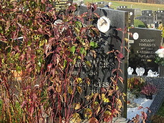 Friedhof Reinersdorf