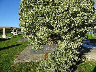 Friedhof St. Michael im Burgenland
