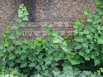 Friedhof Stegersbach