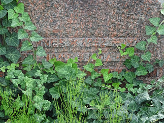 Friedhof Stegersbach