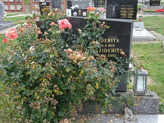 Friedhof Stegersbach