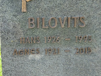 Friedhof Steingraben