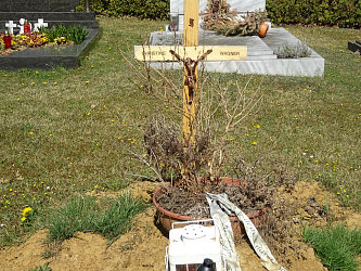 Friedhof Strem