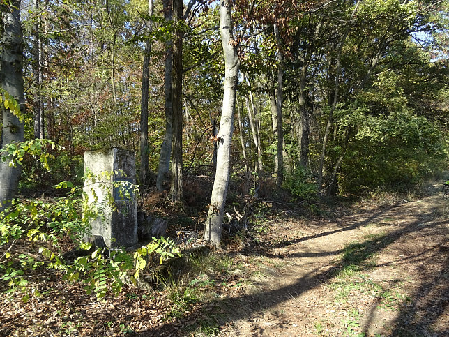 Heiligenkreuz, Hundedenkmal