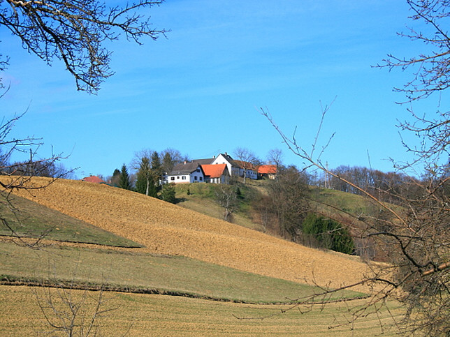 Kalch, Kalchberg