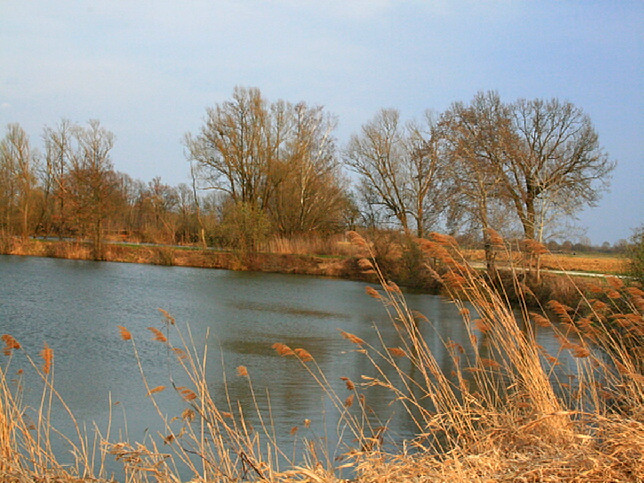 Königsdorf, Teichanlage Unteres Lafnitztal
