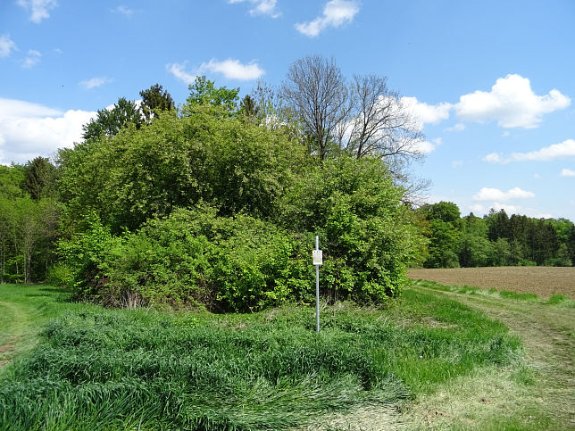 Wolfau, Burggrabenbach Quelle