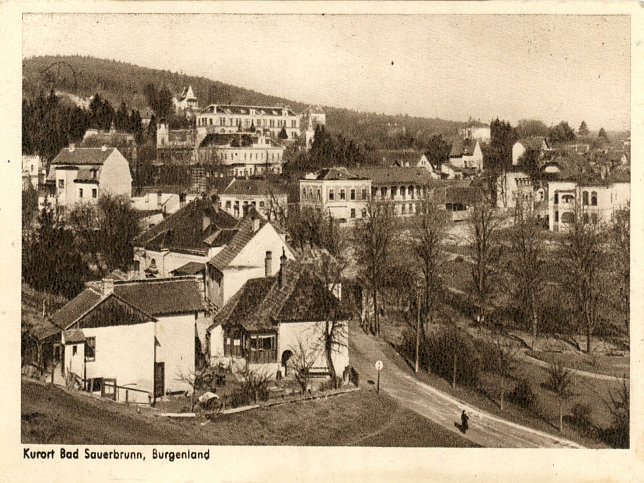 Bad Sauerbrunn, Panorama