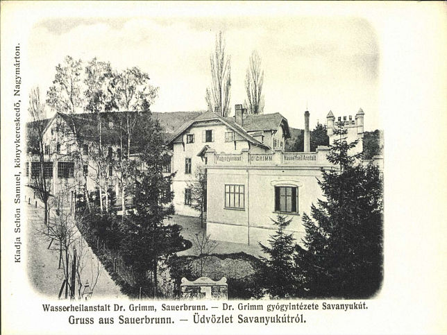 Bad Sauerbrunn, Wasserheilanstalt Dr. Grimm