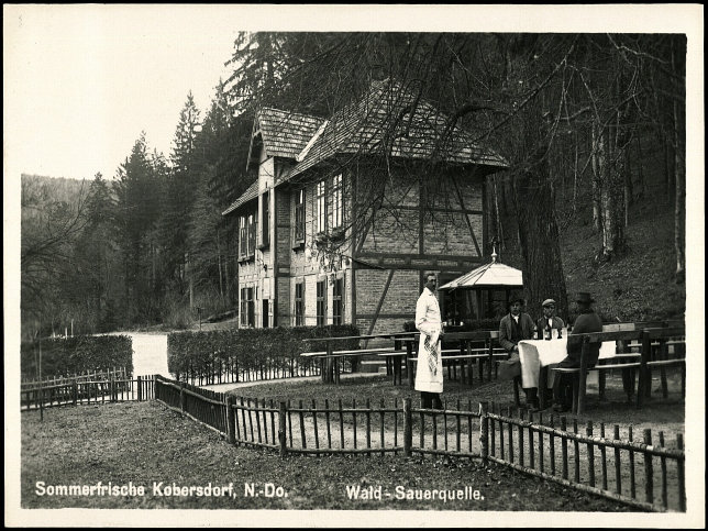 Kobersdorf, Wald-Sauerquelle