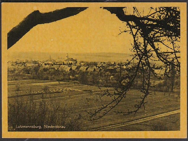 Lutzmannsburg, Panorama