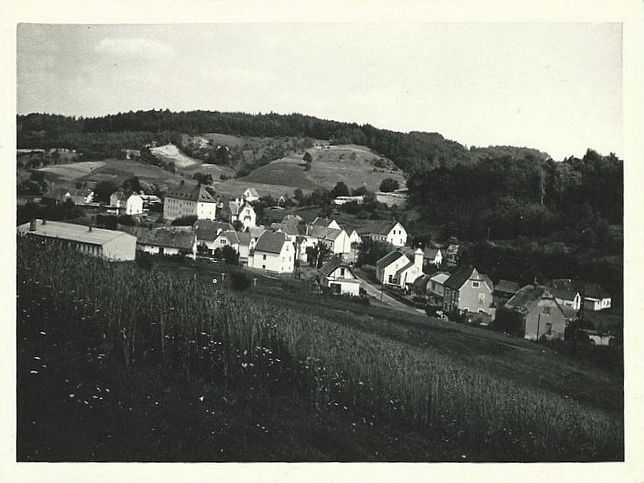 Minihof Liebau, Panorama