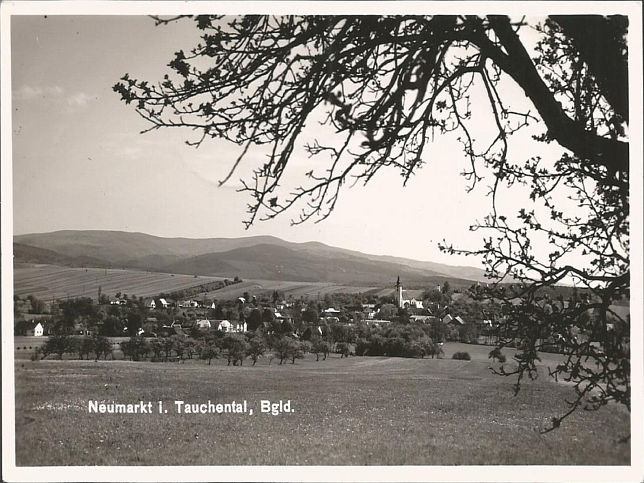 Neumarkt im Tauchental, Panorama