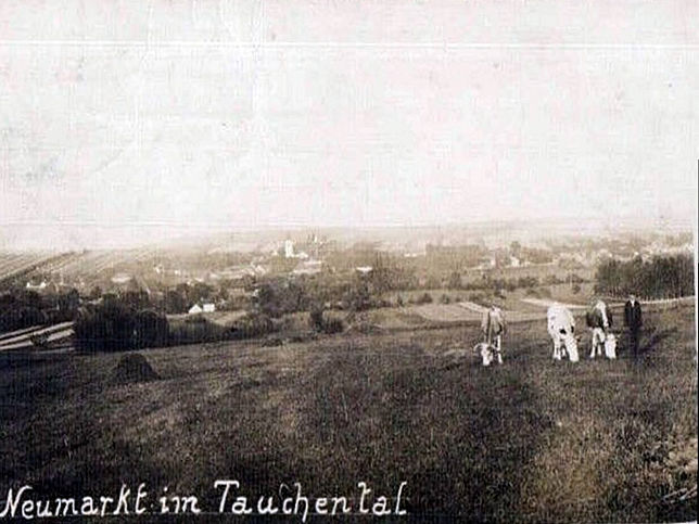 Neumarkt im Tauchental, Panorama