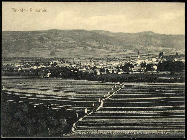 Pinkafeld, Panorama