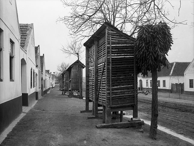 Podersdorf, Windmhle