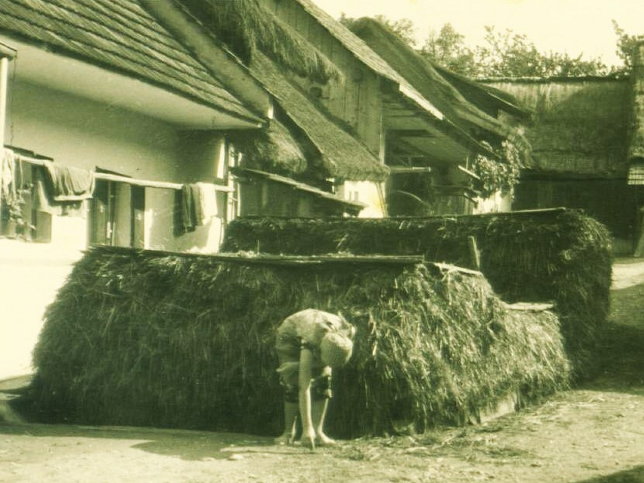 Riedlingsdorf, unbekannt