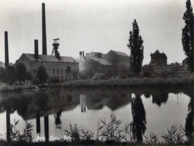 Siegendorf, Zuckerfabrik