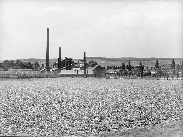Siegendorf, Zuckerfabrik