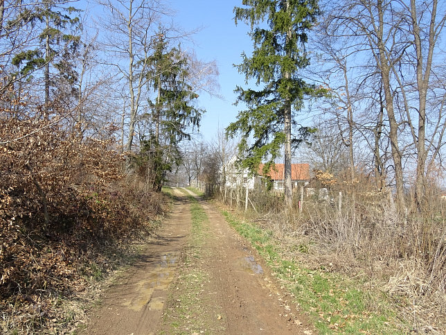 Gerersdorf - Wald- & Wiesenwanderweg