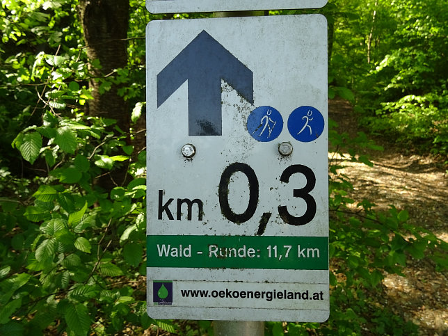 Heiligenbrunn - Wald-Runde