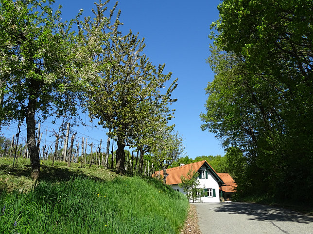 Heiligenbrunn - Wald-Runde