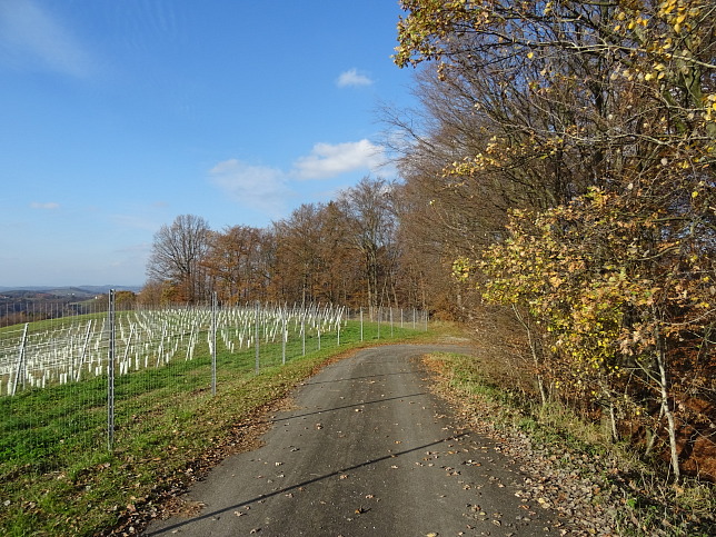 Henndorf - Kapellenwanderweg