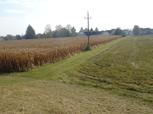 Moschendorf - Rundweg